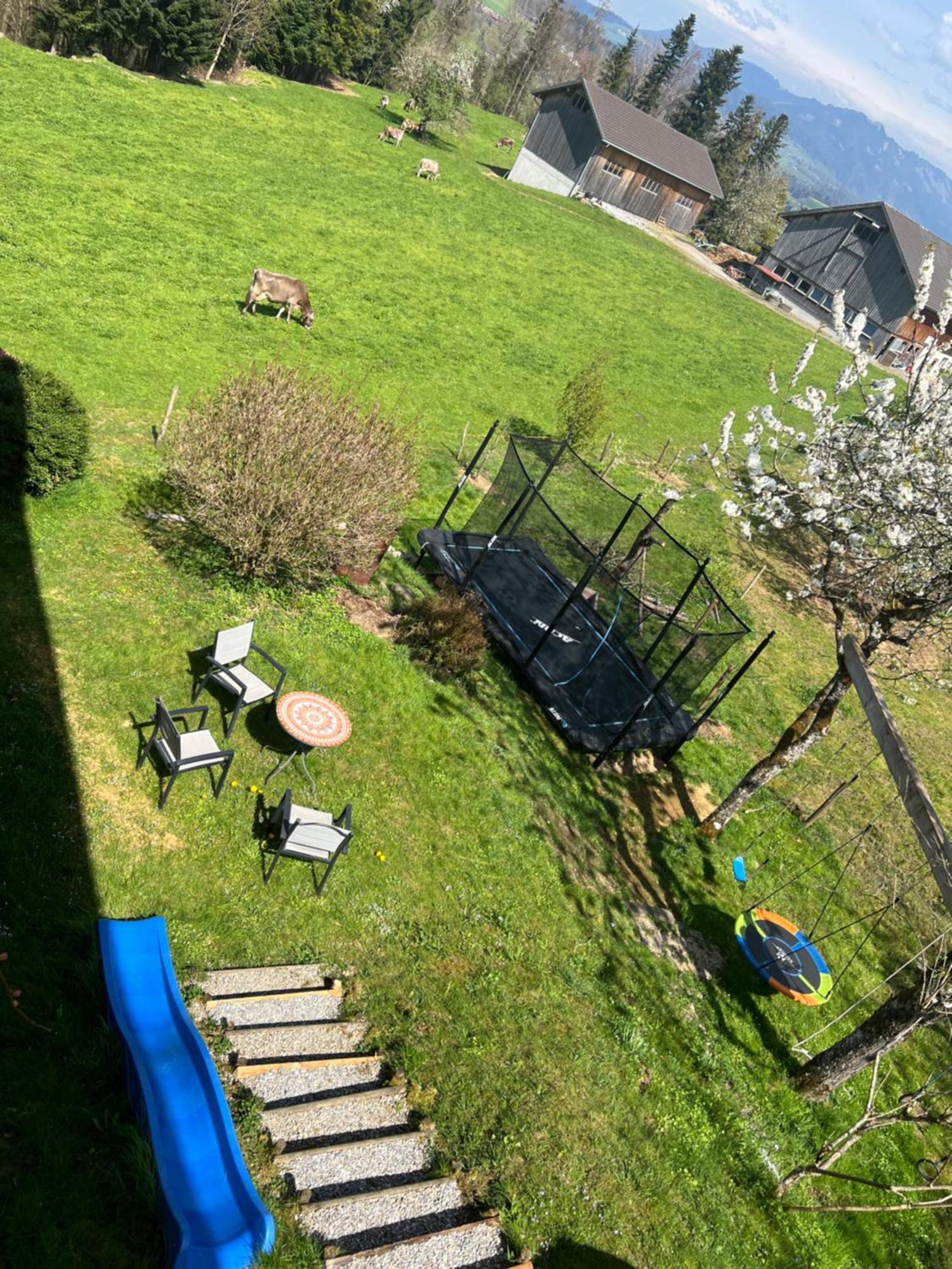 Wiesen Appartment 施瓦岑贝格 外观 照片